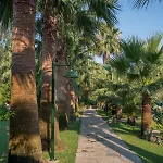 Calbis Hotel Dalyan