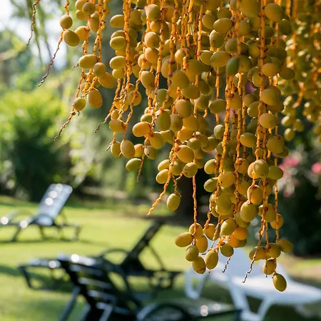 فندق Calbis داليان