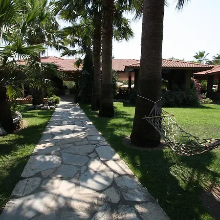 Calbis 3* داليان